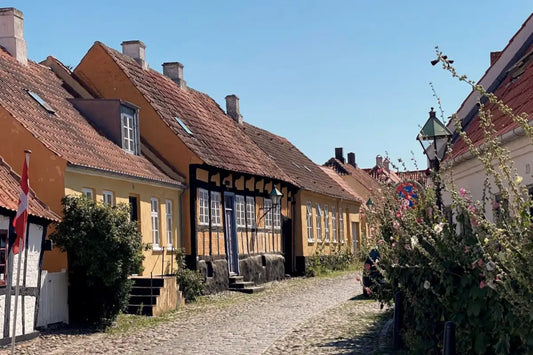 Billedet viser en gade i Aarhus