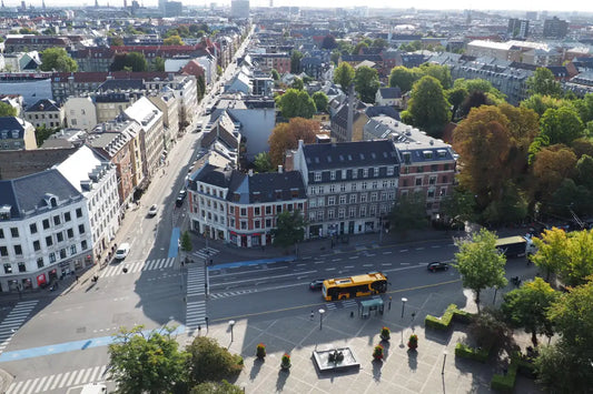 Billedet viser gader på Frederiksberg