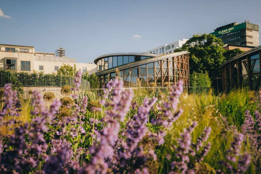 Billedet viser HC Andersens Hus i Odense